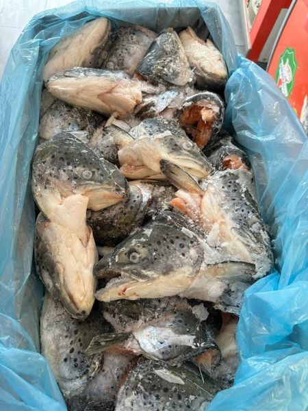  Thùng 10kg ĐẦU CÁ HỒI - Norway 