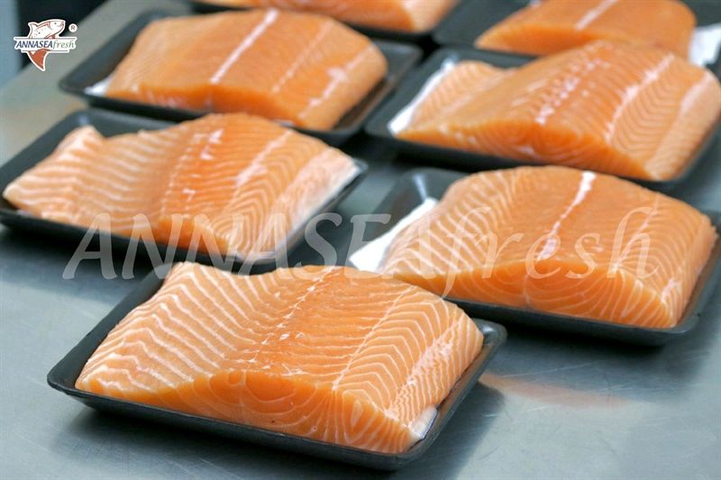  Cá Hồi Tươi 