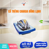  Cá trứng Canada đông lạnh (500gr) 