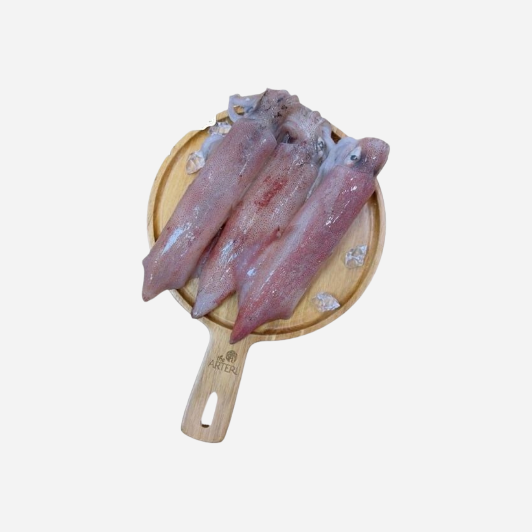  Mực ống đông lạnh-500gr/khay 