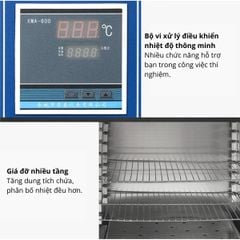Tủ Sấy Phòng Thí Nghiệm 50°C – 300°C Sấy Dược Phẩm, Thực Vật, Vật Mẫu Và Hạt Giống