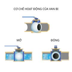 Van Bi Inox 304 Ren Trong Và Ngoài Kích Thước DN8 - DN50