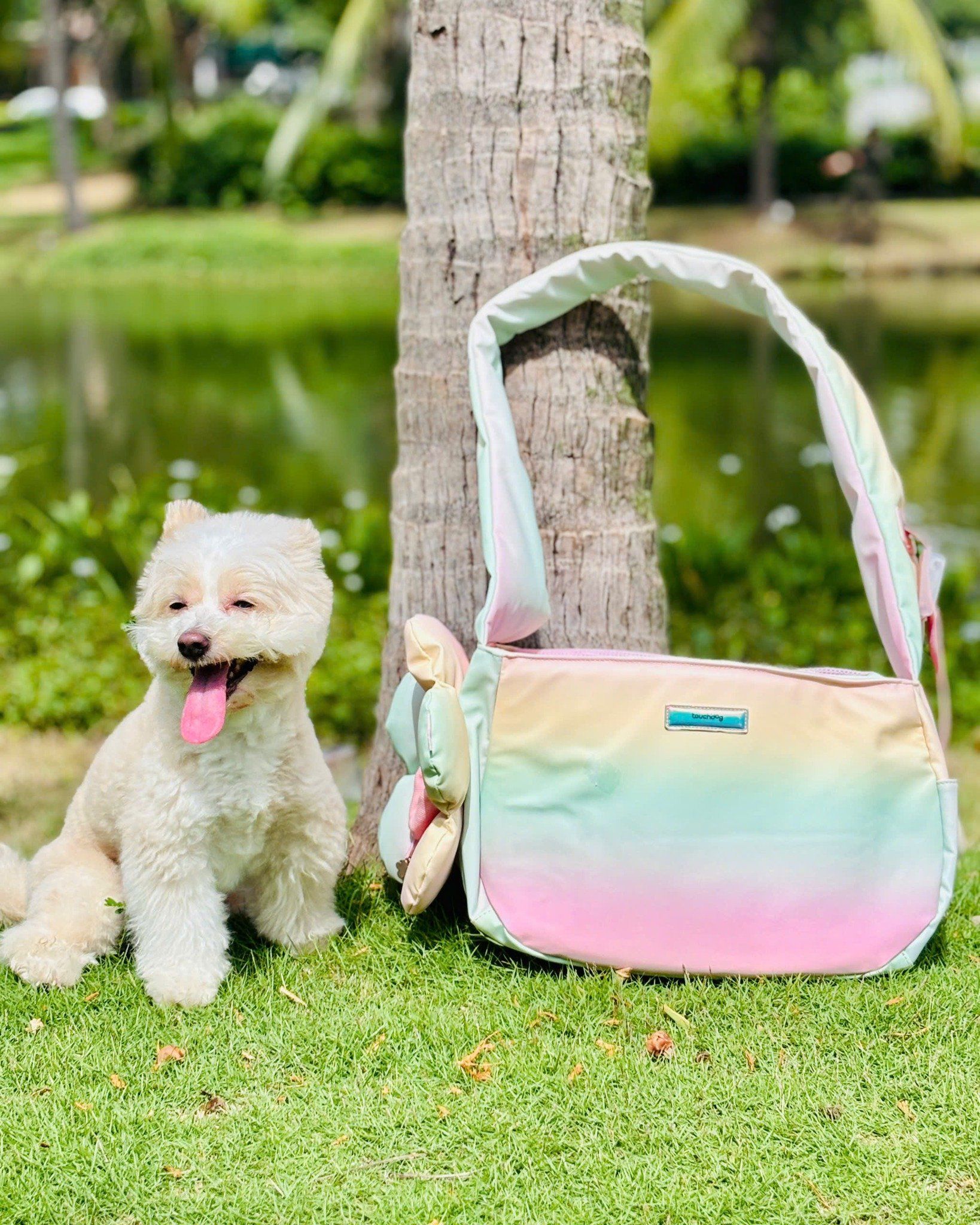  Túi vận chuyển TouchDog hình bông hoa Hologram 