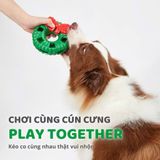  Đồ chơi vòng giáng sinh cho cún 