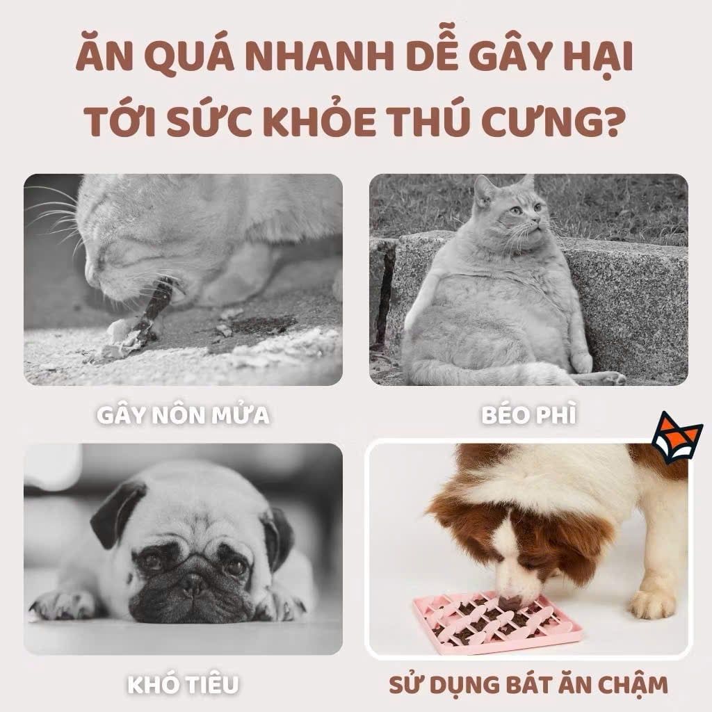  Khay ăn chậm cho cún 