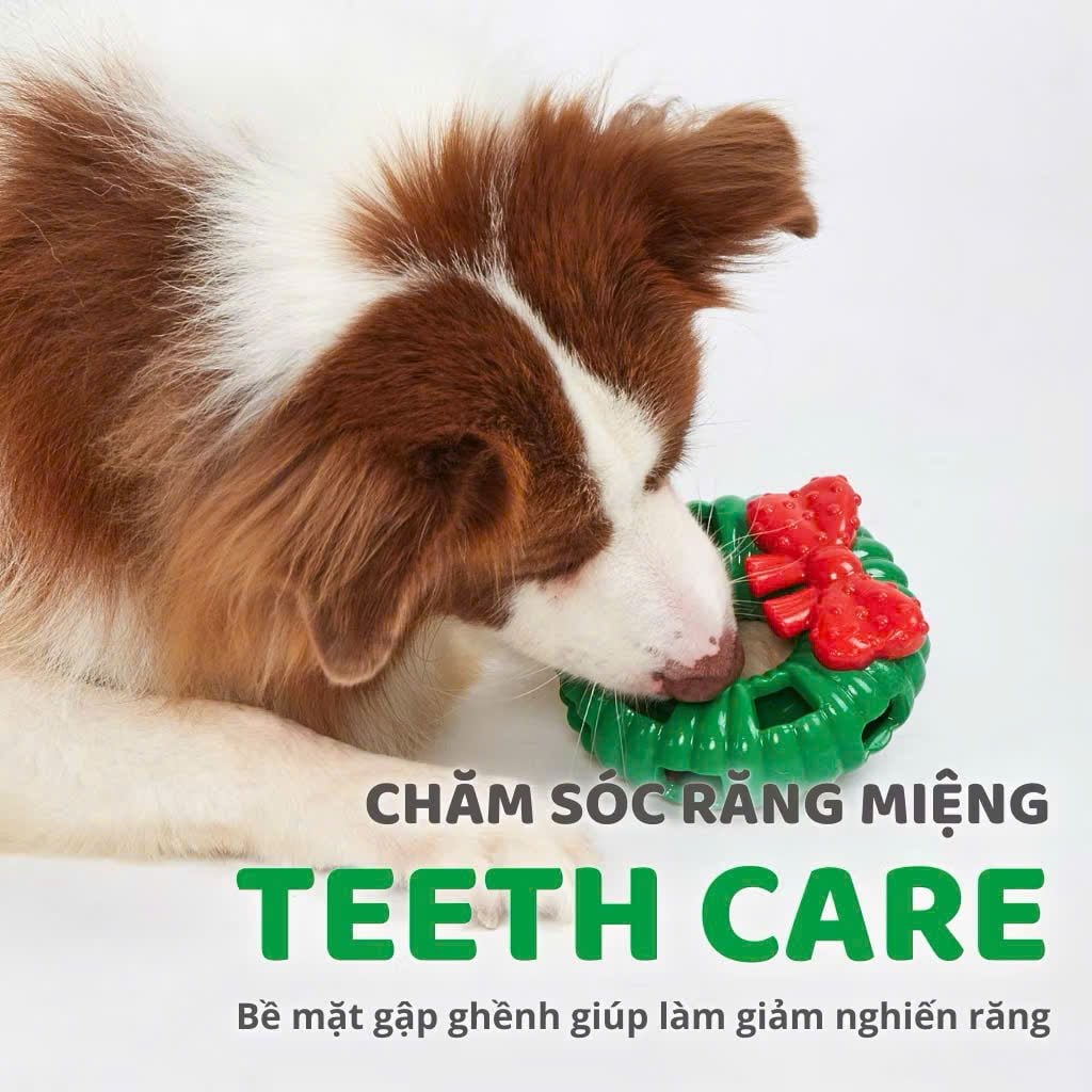  Đồ chơi vòng giáng sinh cho cún 