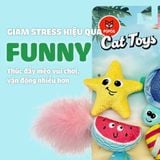  Đồ chơi cho mèo chủ đề biển 