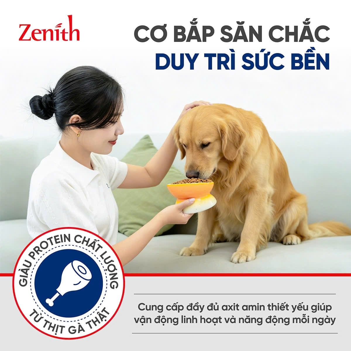  Zenith Large Breed 