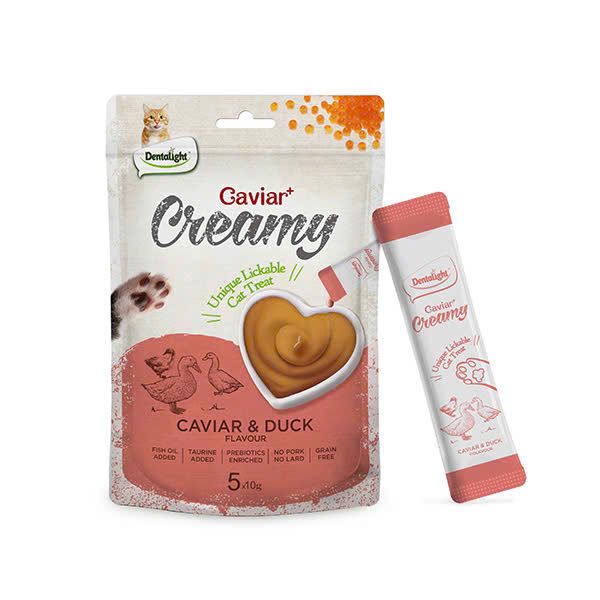  Súp thưởng DentalLight Carvia Creamy cho mèo 