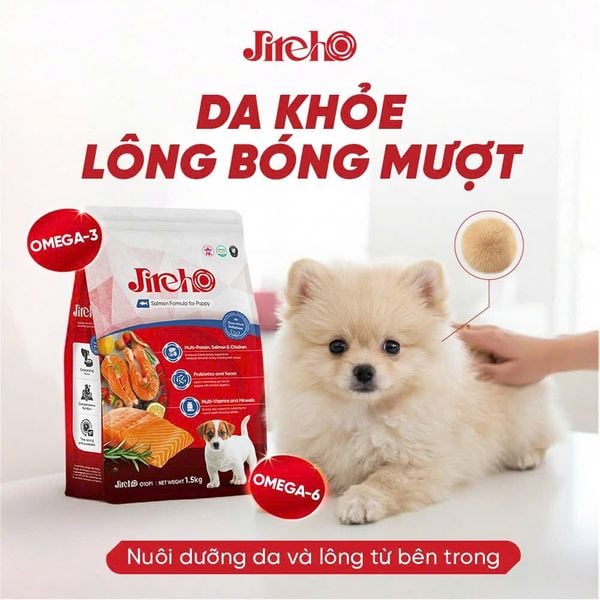  Thức ăn hạt JirehO chó con 