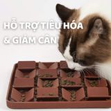  Khay ăn chậm cho cún 