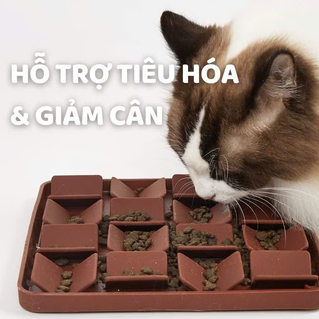  Khay ăn chậm cho cún 