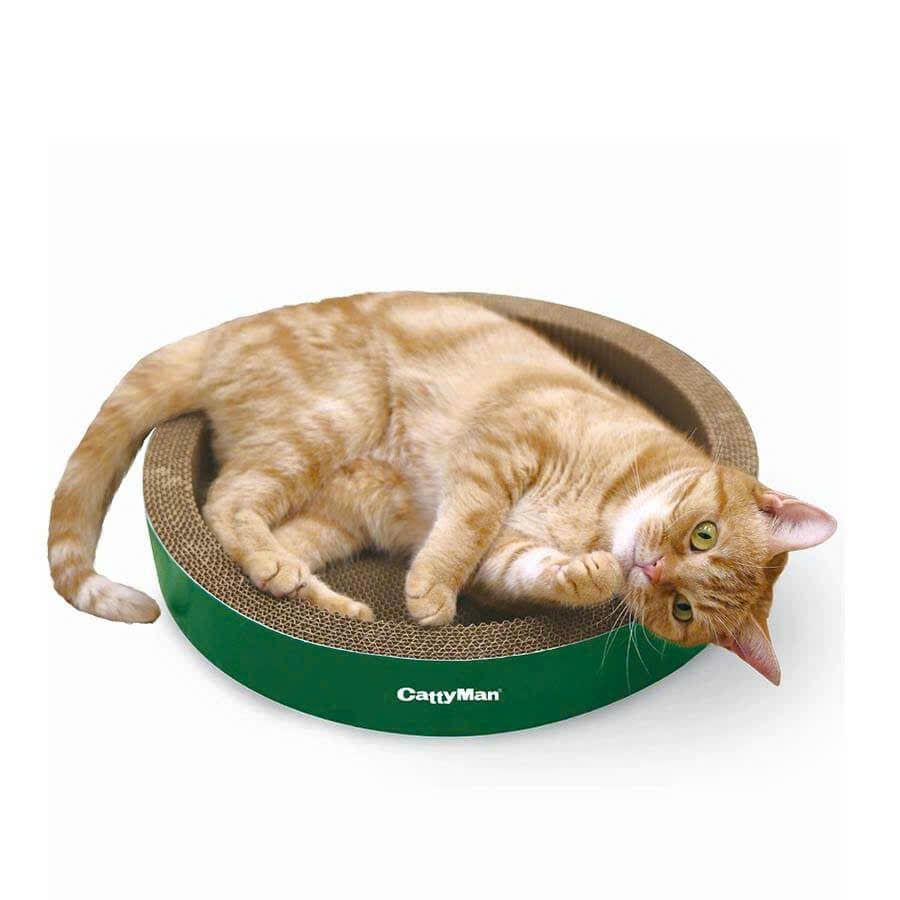  Bàn cào móng cho mèo Cattyman 