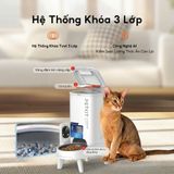  Máy ăn tự động Solo Yumshare Camera 2 