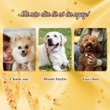  Viên gà nướng mềm Saya DoggyMan 