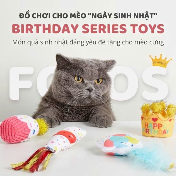  Đồ chơi bánh sinh nhật cho mèo Fofos 