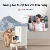  Máy ăn tự động Solo Yumshare Camera 2 