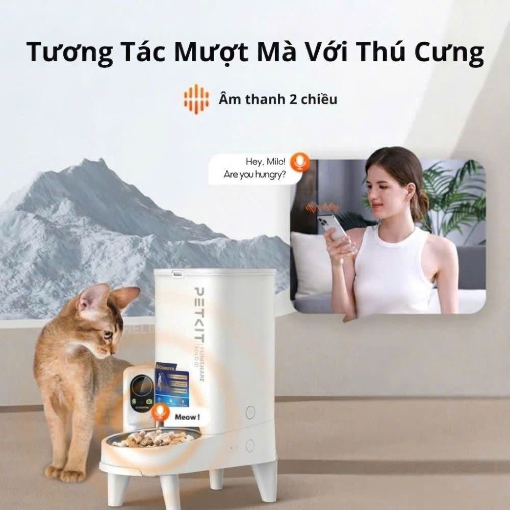  Máy ăn tự động Solo Yumshare Camera 2 