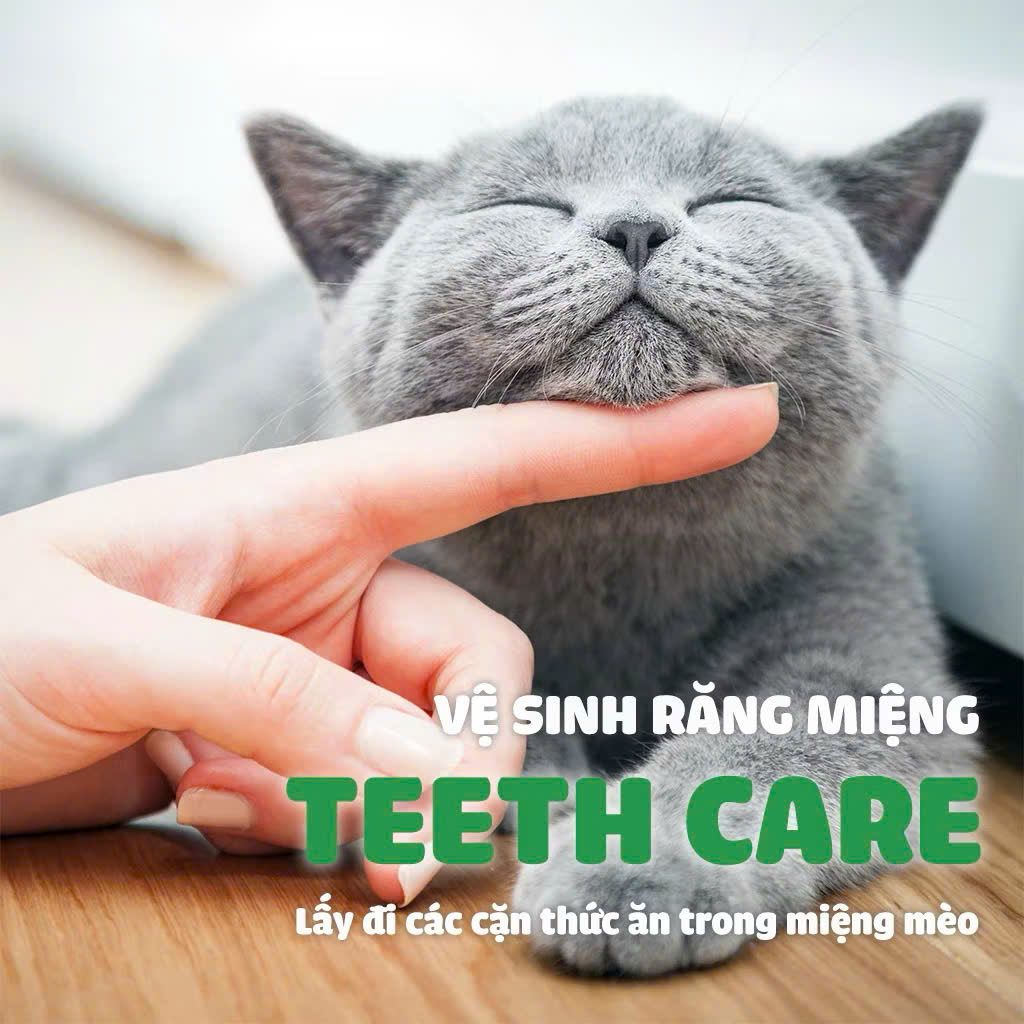  Đồ chơi cho mèo chủ đề biển 