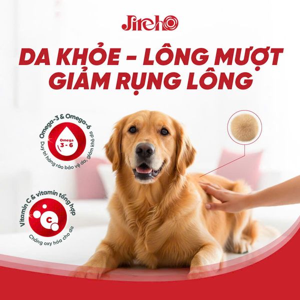 Thức ăn hạt JirehO chó trưởng thành 