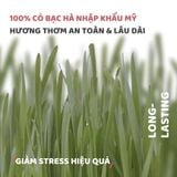  Đồ chơi bánh sinh nhật cho mèo Fofos 
