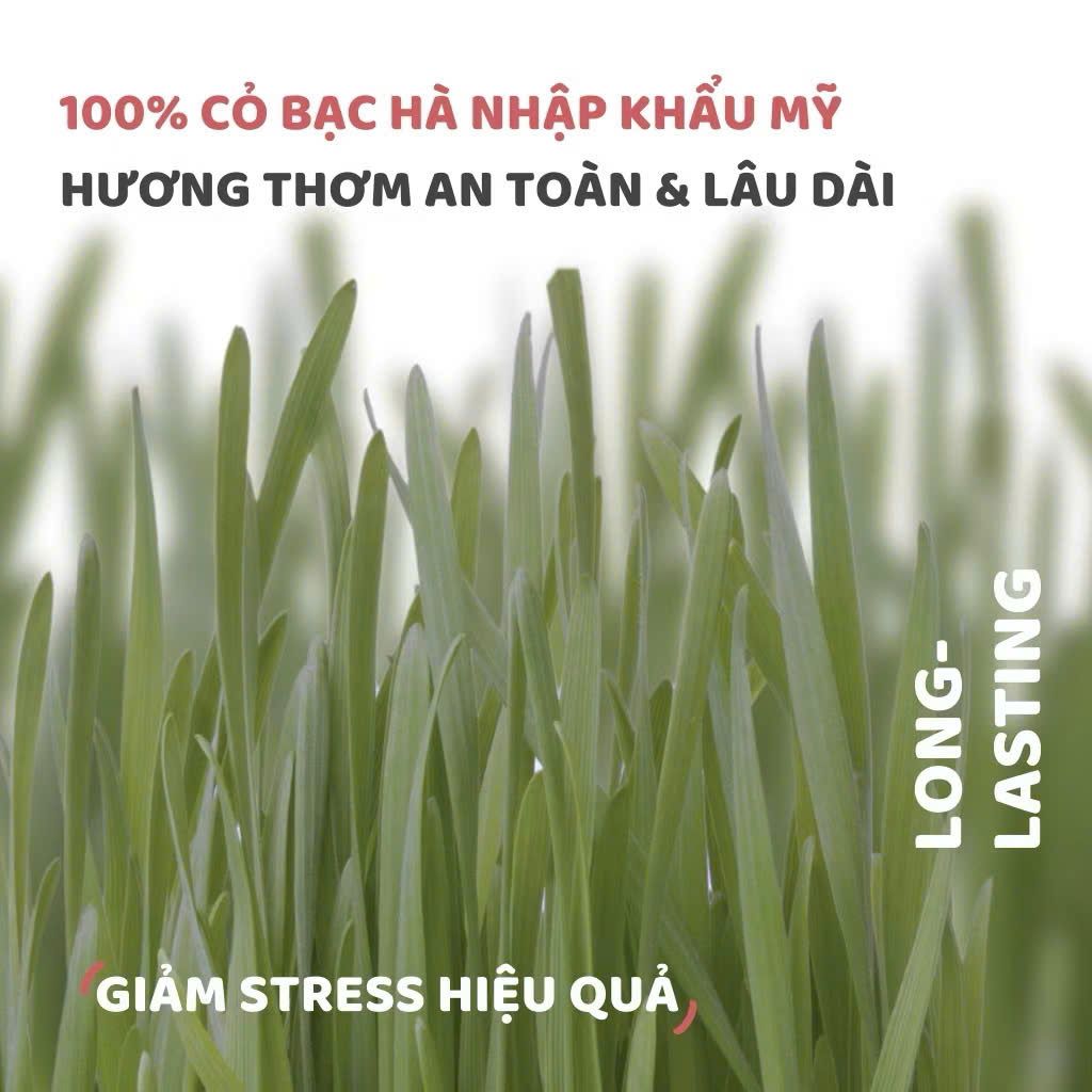  Đồ chơi bánh sinh nhật cho mèo Fofos 