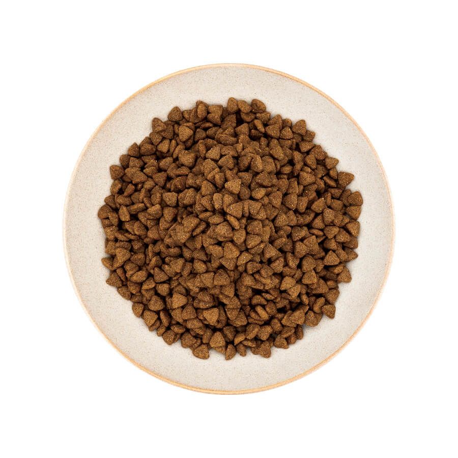  Thức ăn hạt Healthy Choice dành cho chó trưởng thành giống nhỏ 400g 