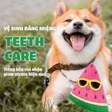  Đồ chơi series mùa hè cho cún 