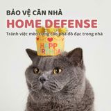  Đồ chơi bánh sinh nhật cho mèo Fofos 