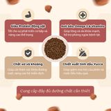  Thức ăn hạt Healthy Choice dành cho chó trưởng thành giống vừa & lớn 400g 