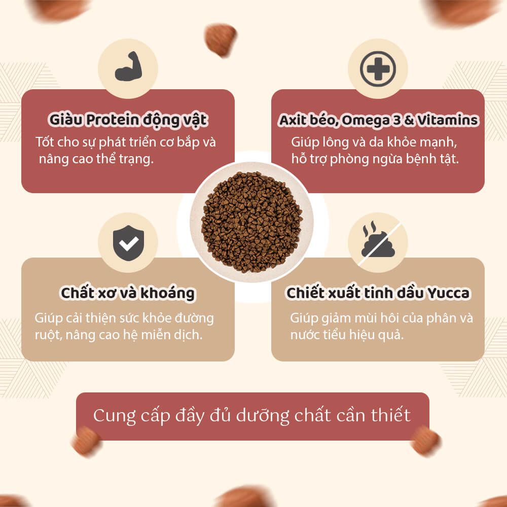  Thức ăn hạt Healthy Choice dành cho chó trưởng thành giống vừa & lớn 400g 