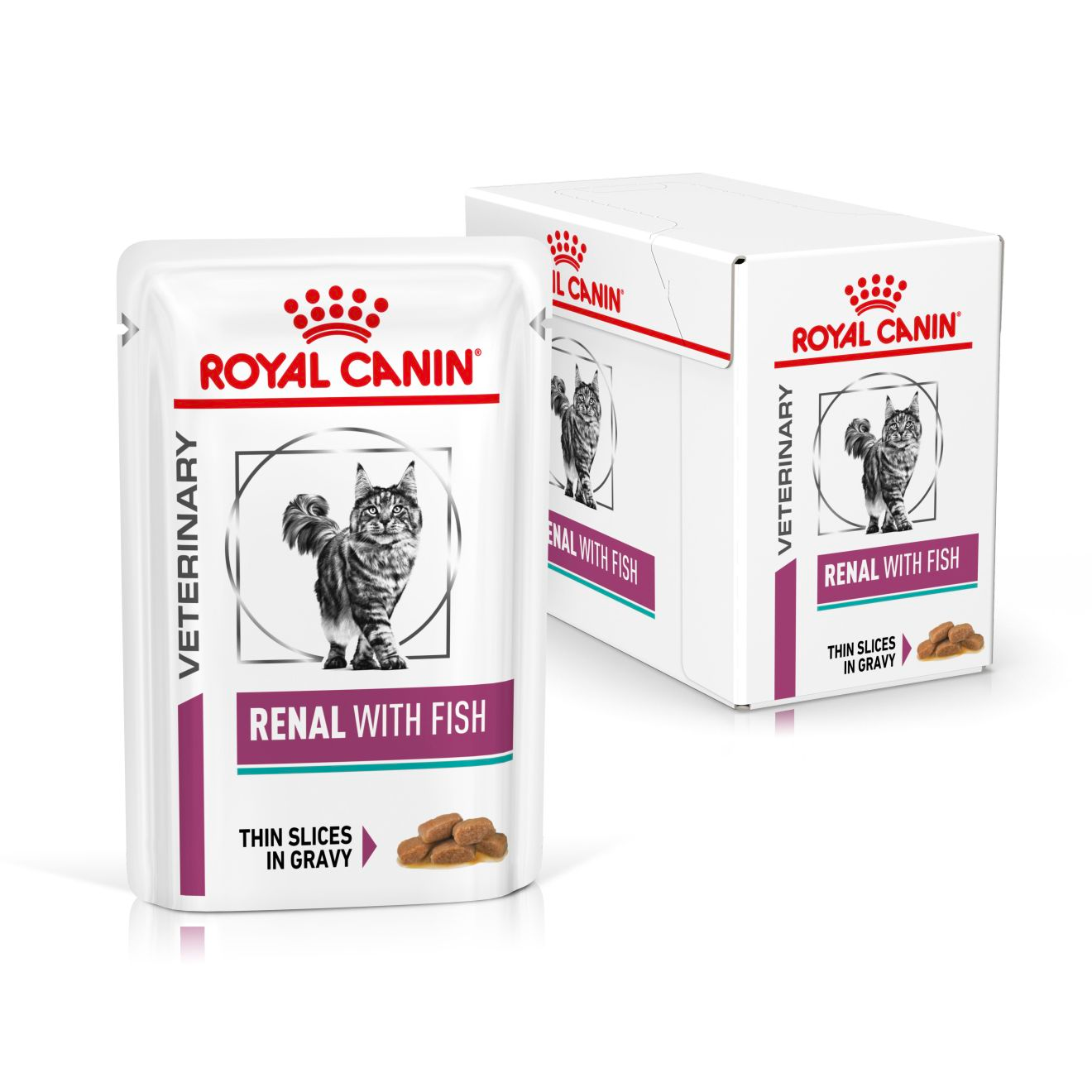  Pate Mèo Royal Canin Renal - Hỗ Trợ Mèo Bệnh Thận Vị Cá 