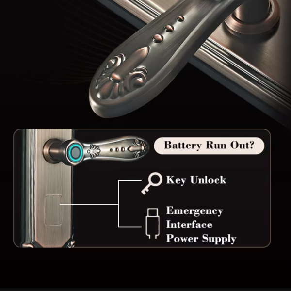 Khóa Vân Tay Cổ Điển Kapler KL-911TC