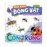 Bách khoa động vật dành cho trẻ nhỏ - Côn trùng B80