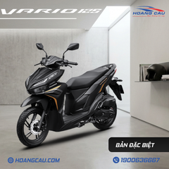 VARIO 125 (VN)