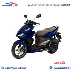 VARIO 160 (VN)