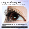 Mascara làm cong dài và tơi mi Ukiss Phoenix Tail Slim Curl