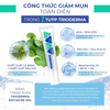 Gel chấm mụn Trioderma Anti Acne Gel 15g