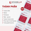 [10 miếng] Mặt nạ Kyunglab PDRN Therapy Mask
