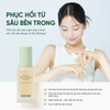 Tinh chất Dewdap Cicatea Calming Repair Ampoule 50ml