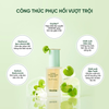 Tinh chất Dewdap Cicatea Calming Repair Ampoule 50ml