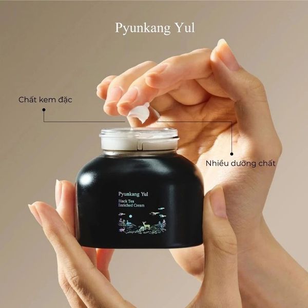 Kem dưỡng Pyunkang Yul Black Tea Enriched Cream 60ml