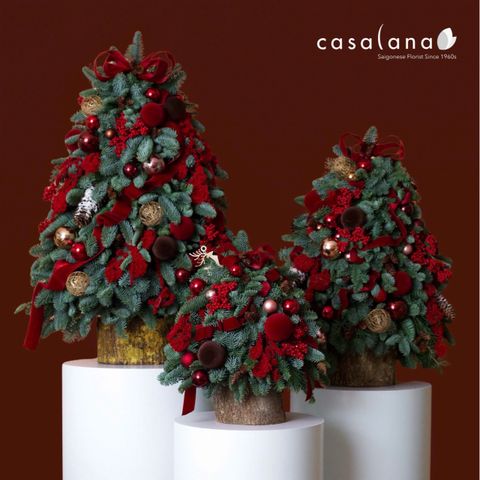 Christmas Season 2025