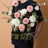  The Bloom Bottles_ Creamy Dahlia 