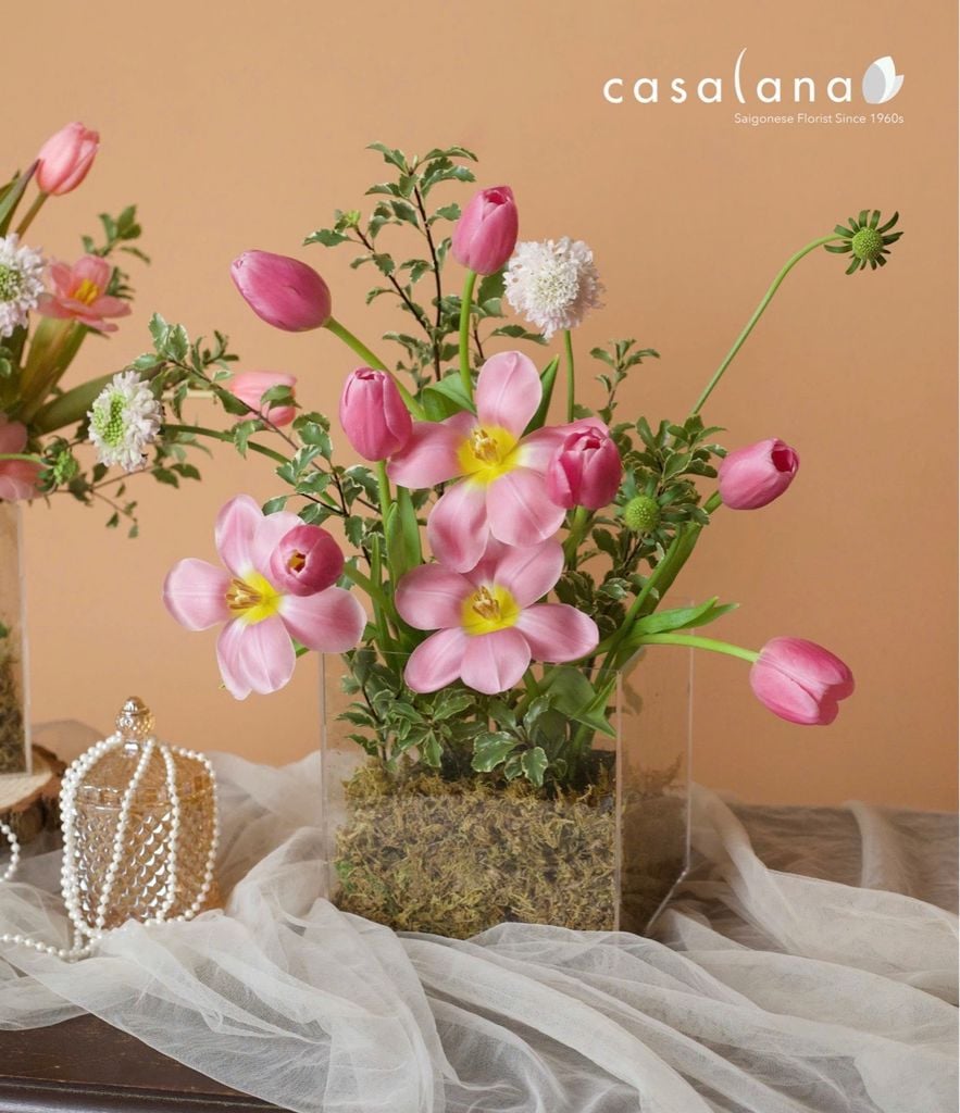  Box Tulip Pink Twist 10 