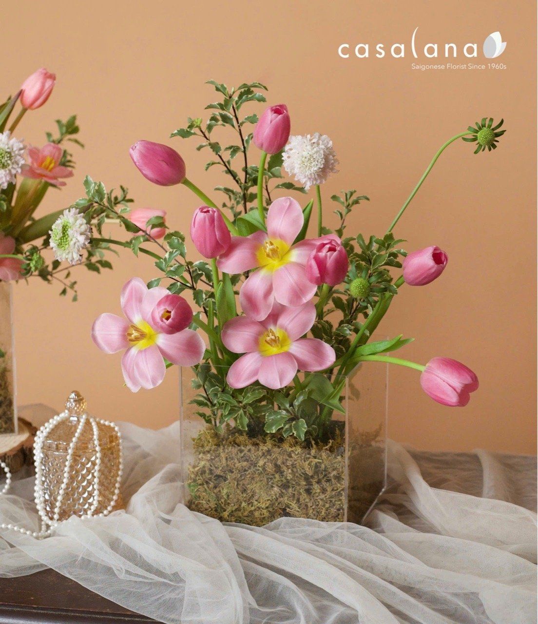  Box Tulip Pink Twist 10 