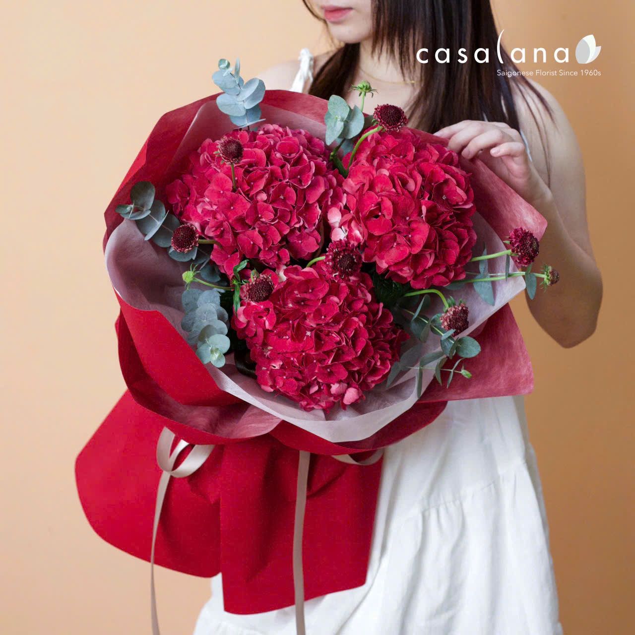  Hydrangea Ruby Red 3 