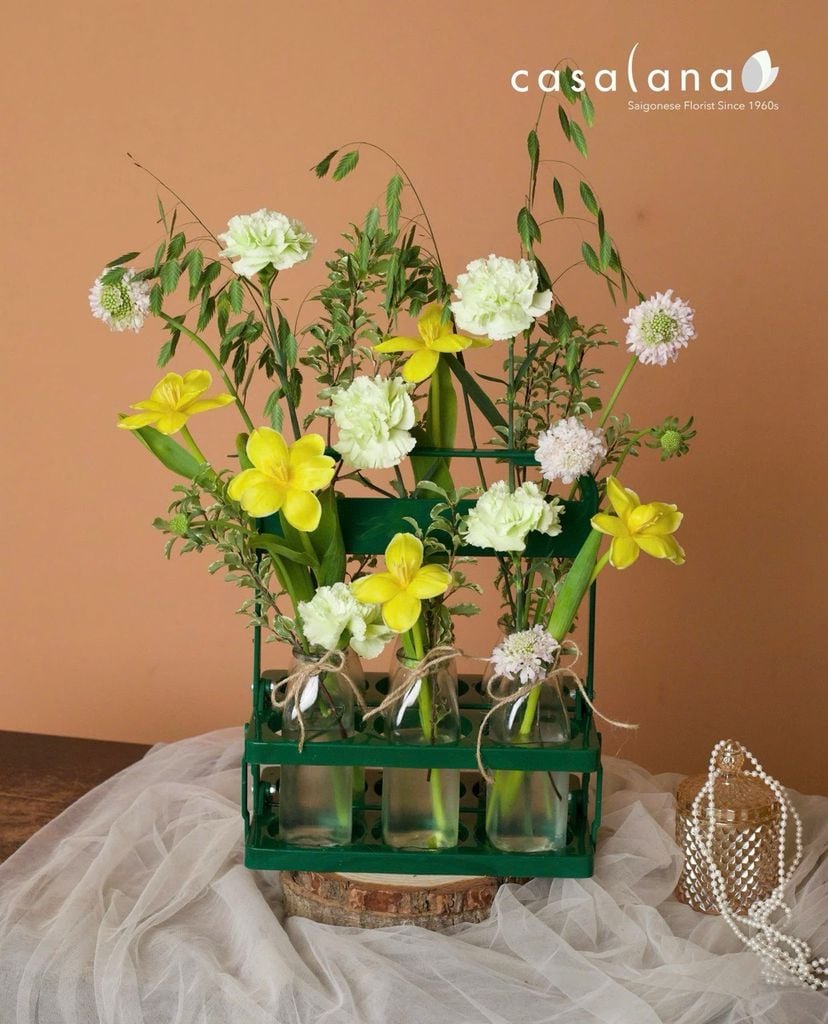  Set Hoa Thả Bình Tulip Vàng 20.10 