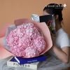  Hydrangea Pink 7 
