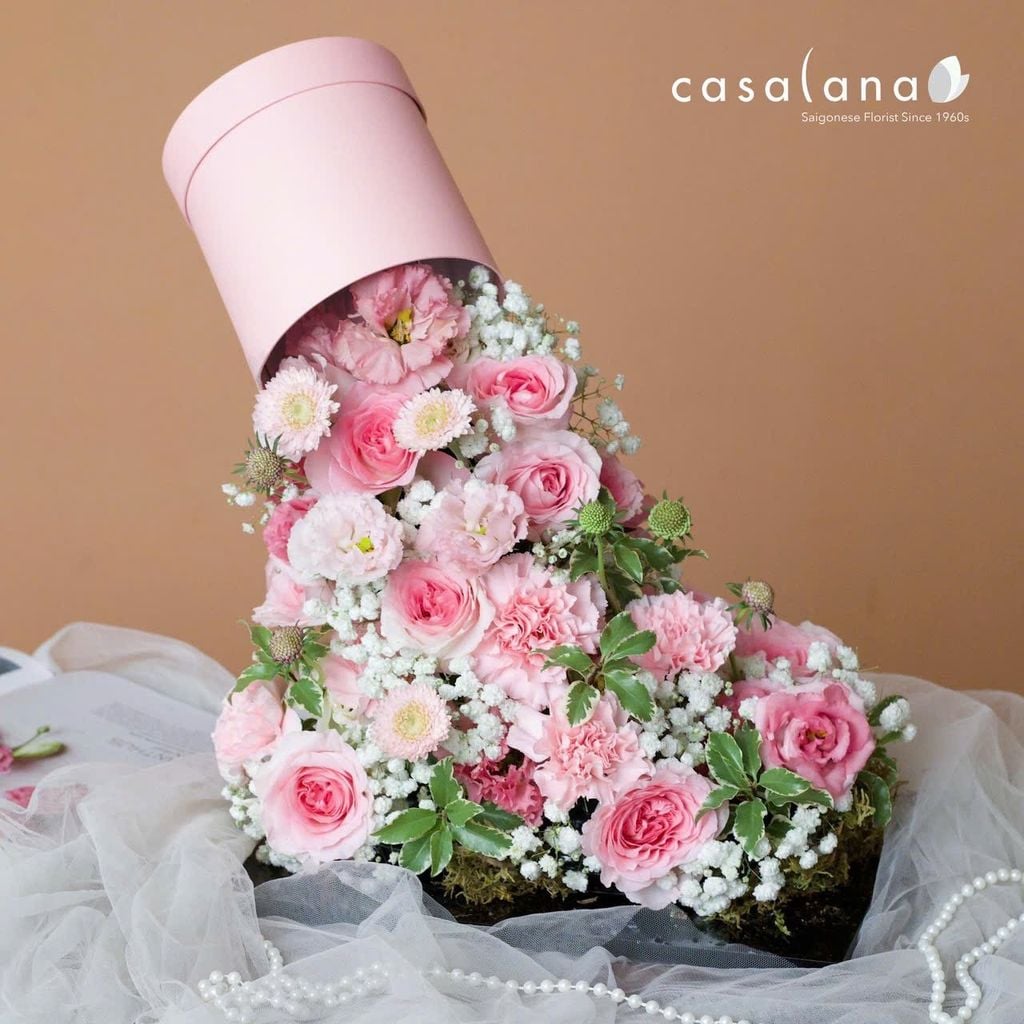  Colorfall Dreams Ver 4 